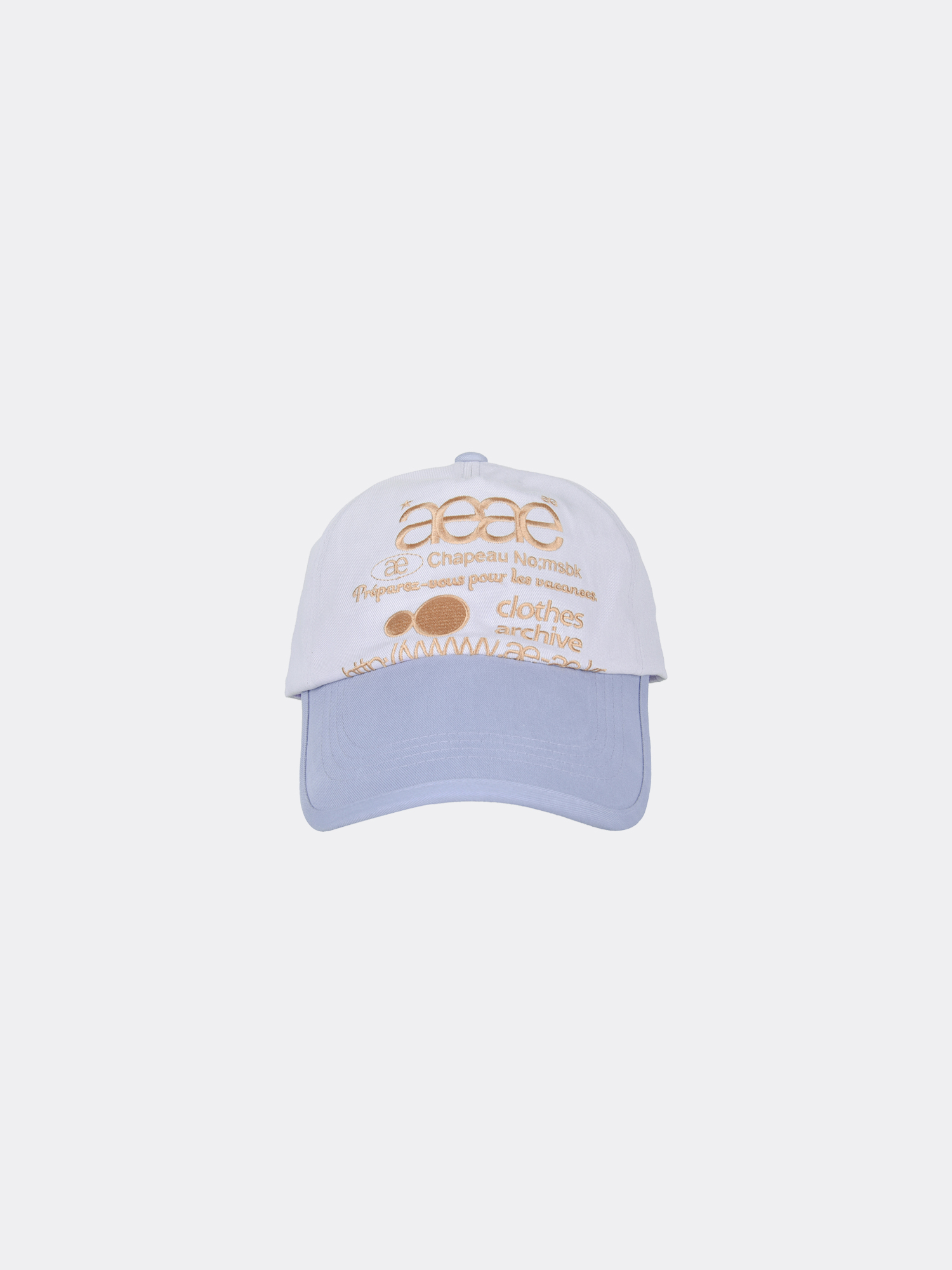 aeae WEB LOGO 5 PANNEL BALL CAP-GREYISH PURPLE
